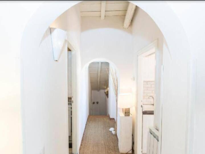 Pantheon Terrace Over Navona Square Apartment Rom